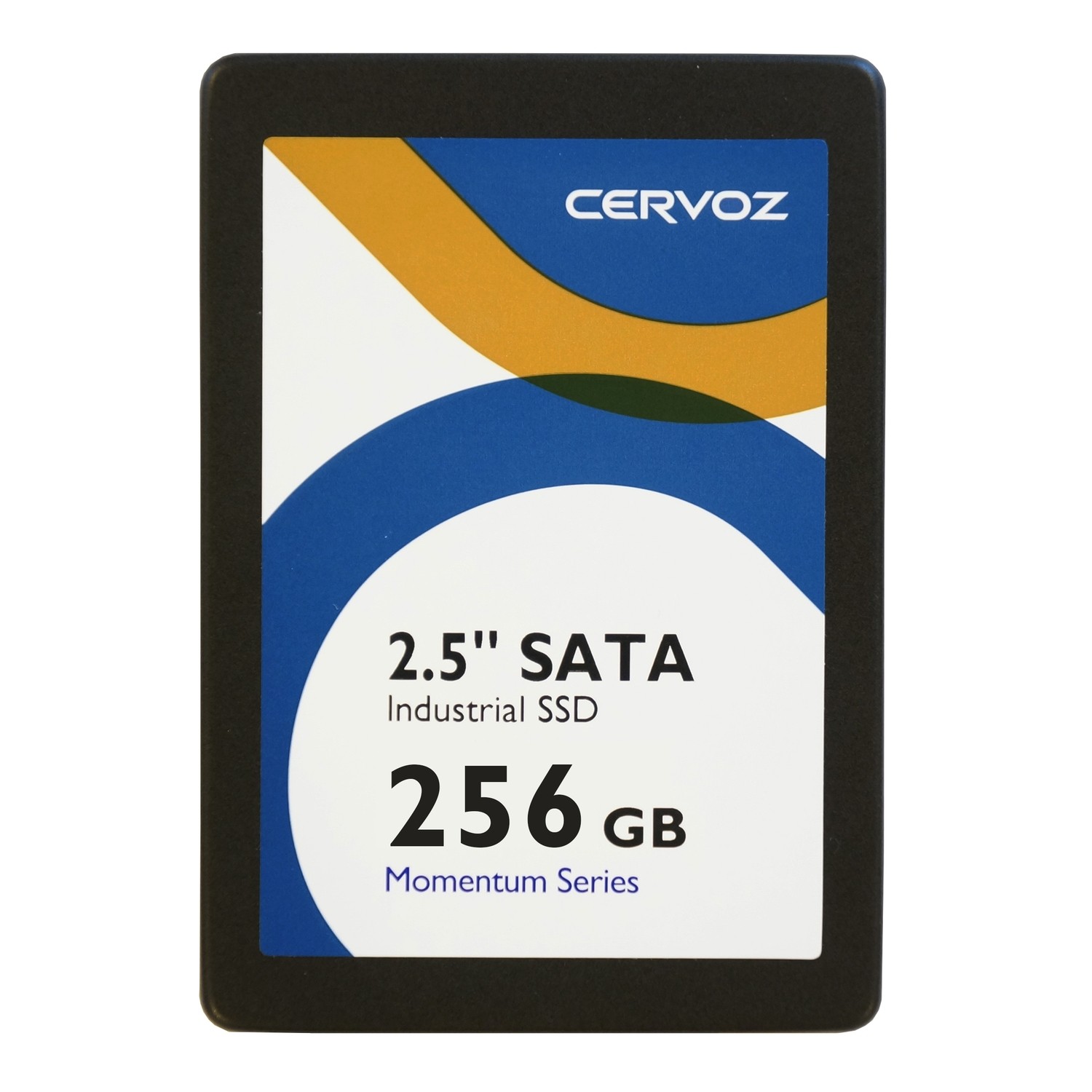 256GB Industrial 2.5