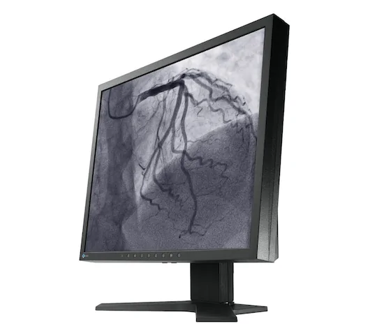 EIZO LS1910