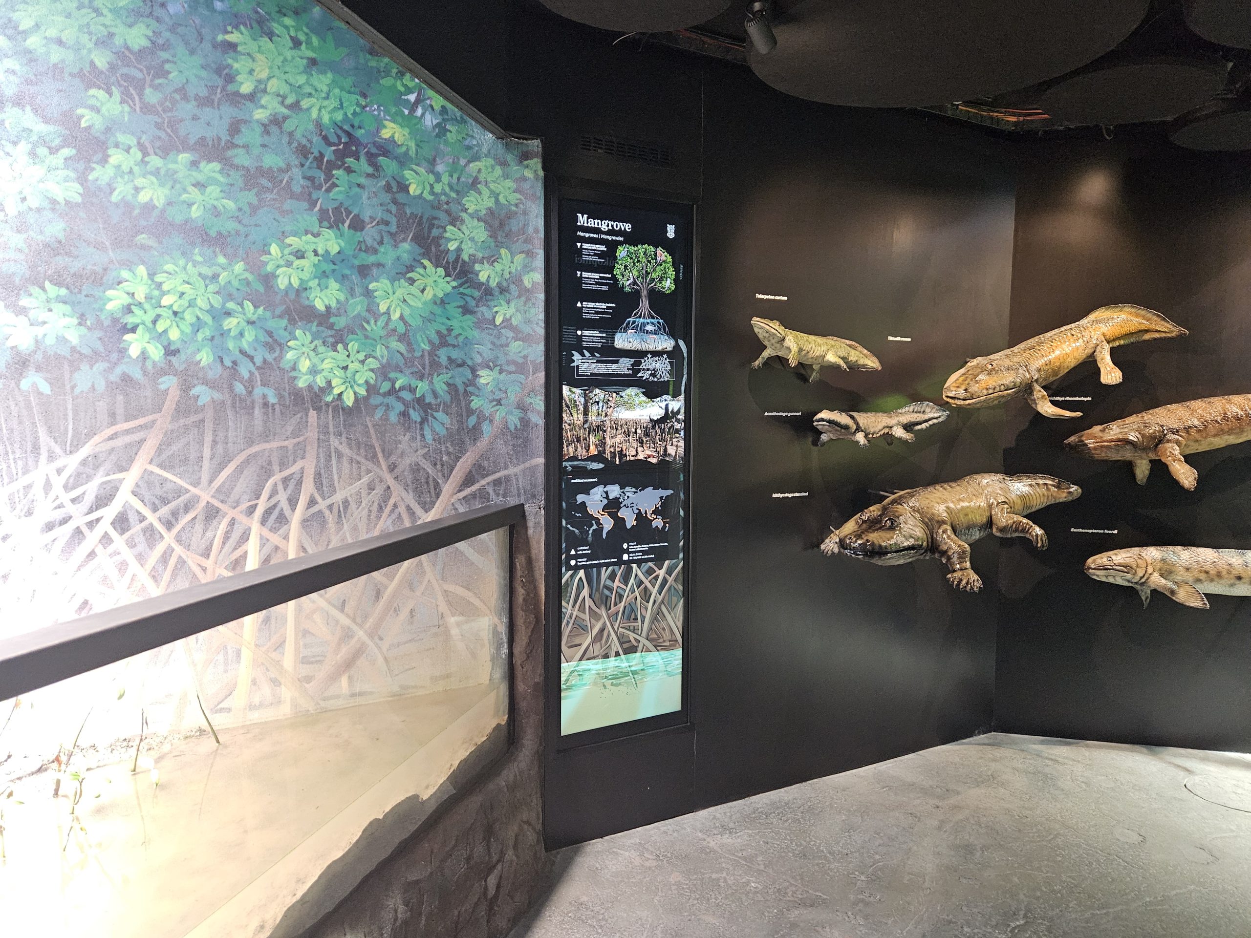 Interaktivní technologie v expozici Amphibiaria Zoo Ostrava