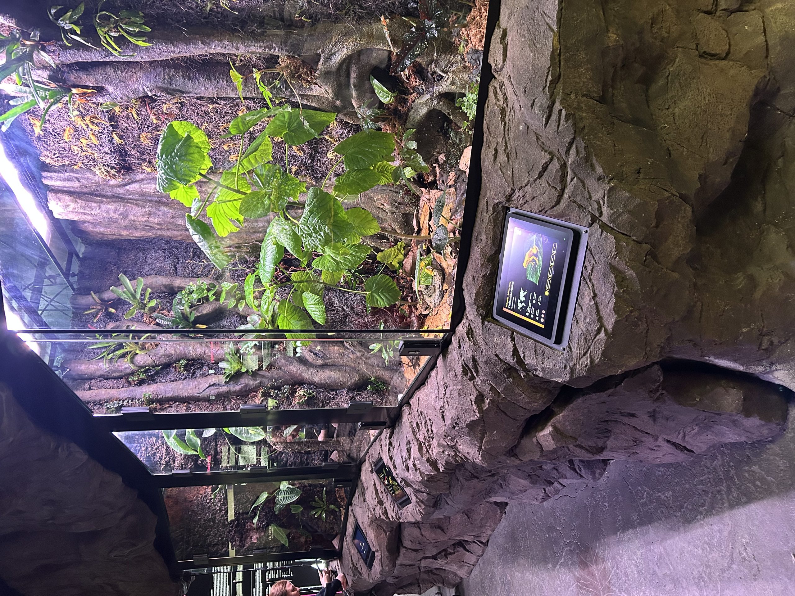 Digitální prvky v interiéru Amphibiaria Zoo Ostrava